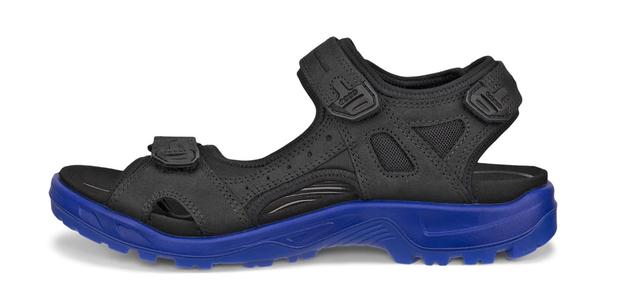 Чоловічі босоніжки Ecco Offroad 40 чорний -40